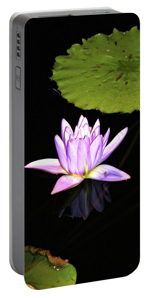 Water Lily Portable Battery Charger featuring the photograph Lavender Water Lily with Reflection by Trina Ansel