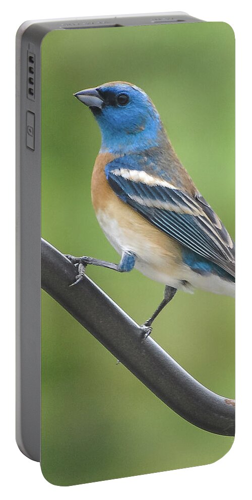 Lazuli Portable Battery Charger featuring the photograph Lazuli Bunting by Gene Bollig