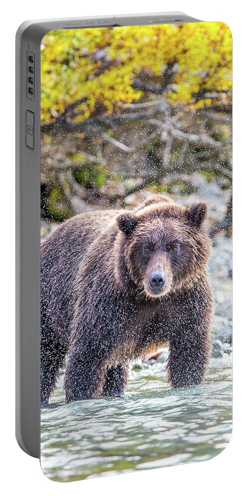 Alaska Portable Battery Charger featuring the photograph Frozen Shake by Kevin Dietrich