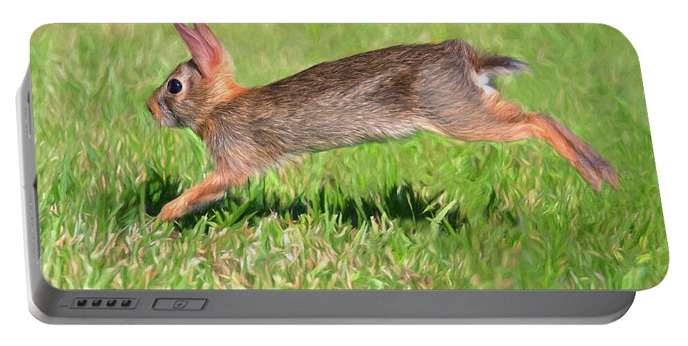 Rabbit Portable Battery Charger featuring the photograph Leaping Leporidae by Art Cole
