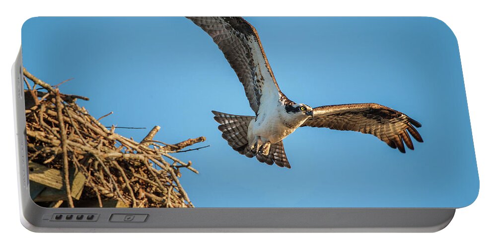 Nature Portable Battery Charger featuring the photograph Leaving The Nest by Cathy Kovarik