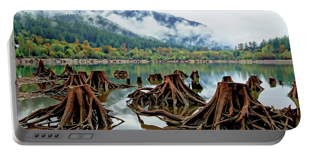 Trees Portable Battery Charger featuring the photograph Leftovers by Rick Lawler
