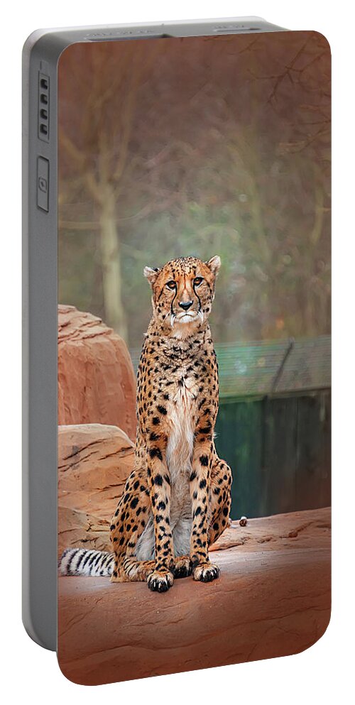 Leopard Portable Battery Charger featuring the photograph Leopard by Gouzel -