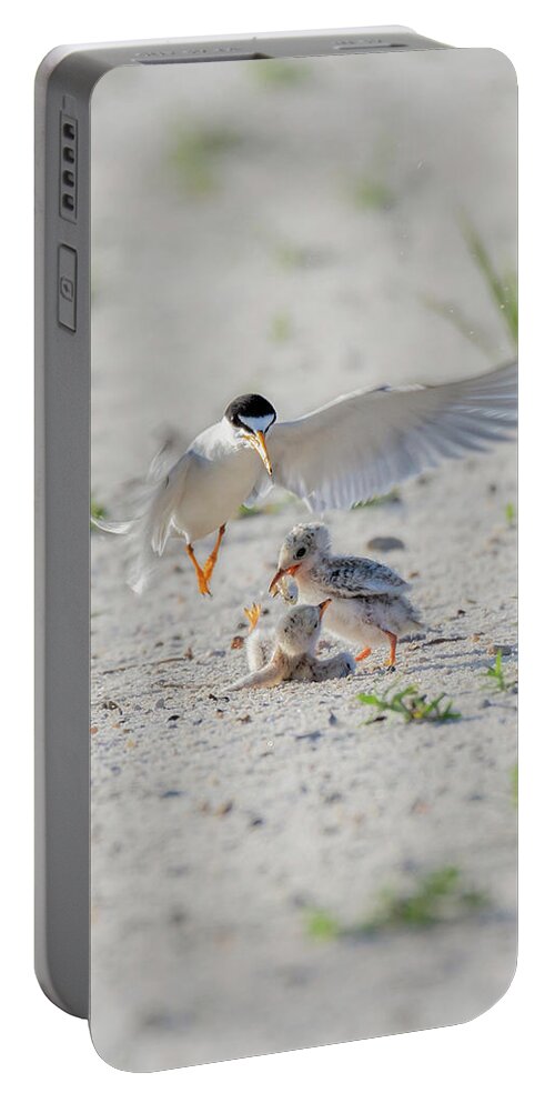 Bird Portable Battery Charger featuring the photograph Let Me Help by Susan Rissi Tregoning