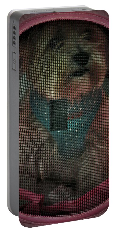 Terrier Portable Battery Charger featuring the photograph Let Me Out by Christopher James