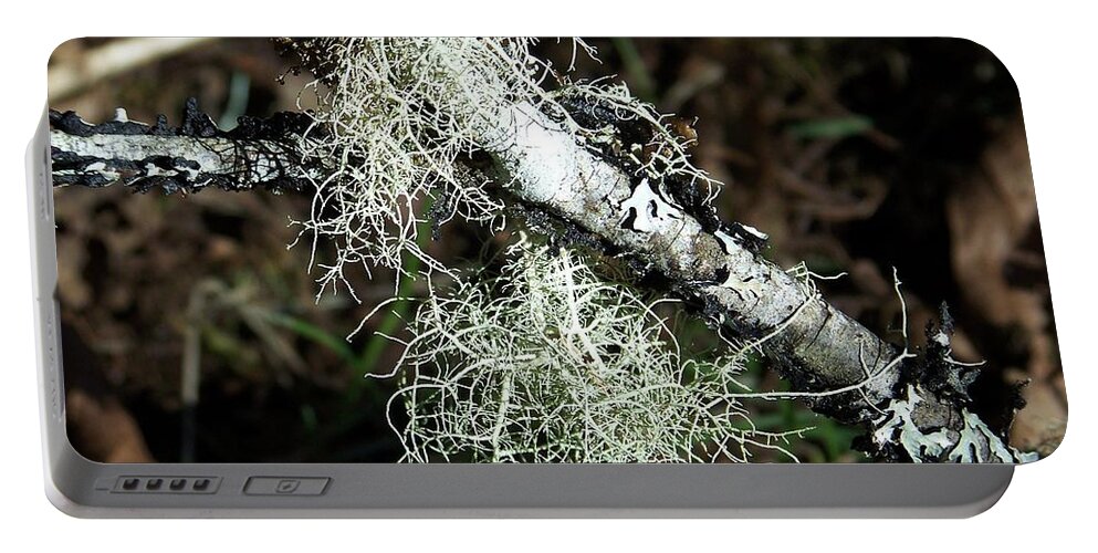 Tree Portable Battery Charger featuring the photograph Lichen Branch by Julie Rauscher