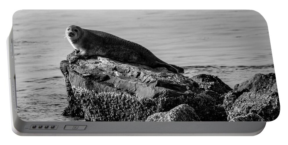Harbor Seal Portable Battery Charger featuring the photograph Lifting Fog by Cathy Kovarik
