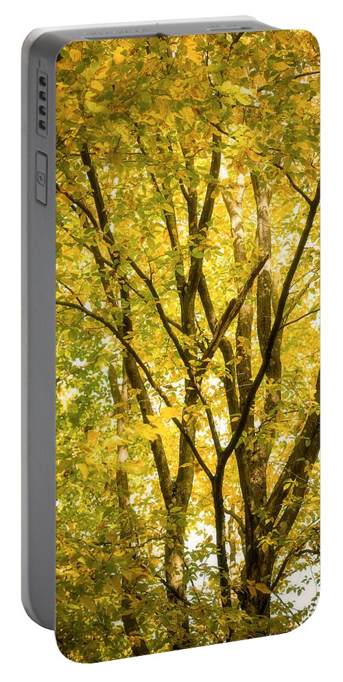 Autumn Portable Battery Charger featuring the photograph Light in the leaves by Philippe Sainte-Laudy