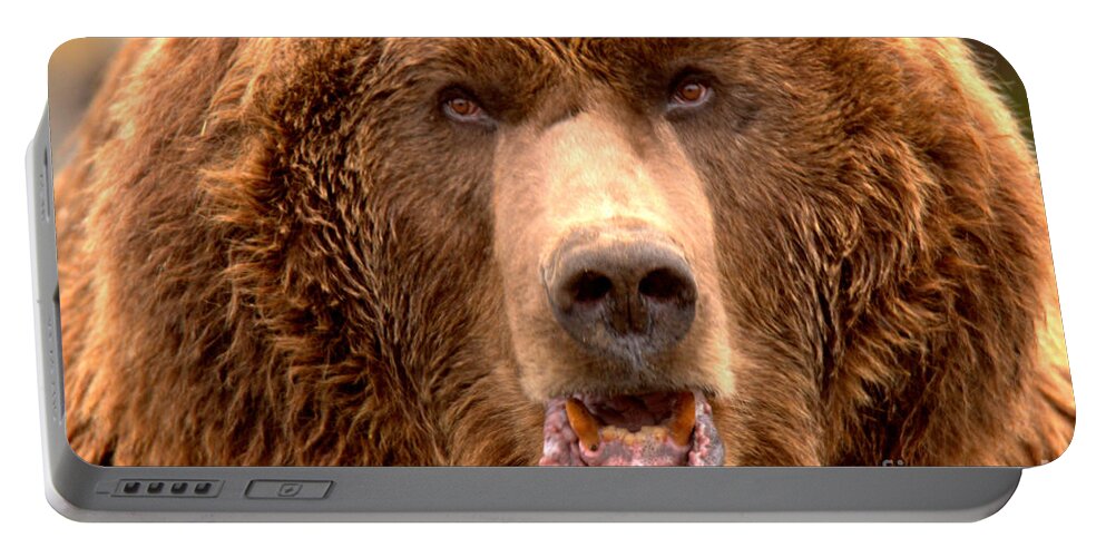 Brown Bear Portable Battery Charger featuring the photograph Like OMG, DId You See That Tourist by Adam Jewell