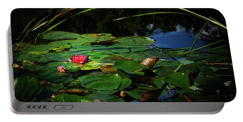 Flower Portable Battery Charger featuring the photograph Lily Arch by John Christopher