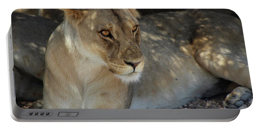  Portable Battery Charger featuring the photograph Lion by Eric Pengelly