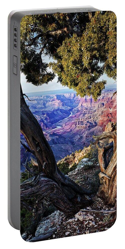 Grand Canyon Portable Battery Charger featuring the photograph Lipan Point View by Priscilla Burgers