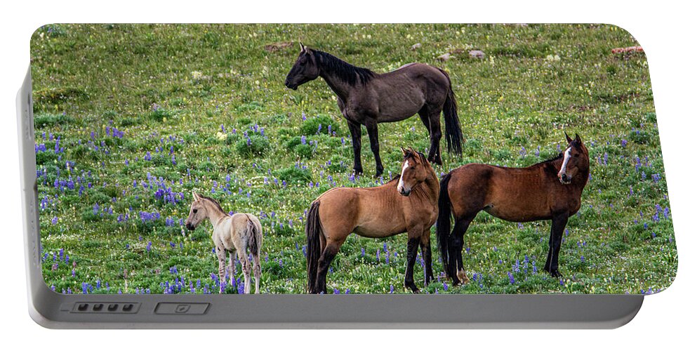 Pryor Mountain Portable Battery Charger featuring the photograph Little Mustang Family by Douglas Wielfaert