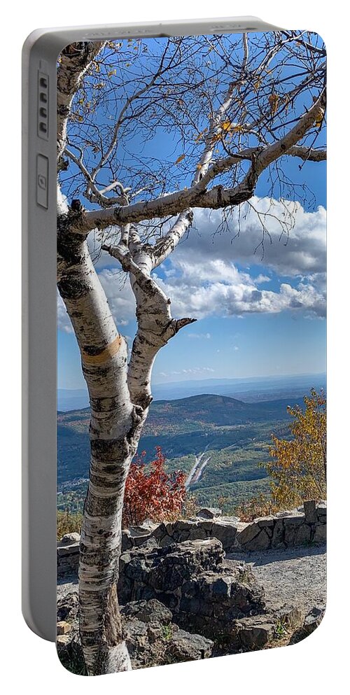  Portable Battery Charger featuring the photograph Lone birch by Kendall McKernon
