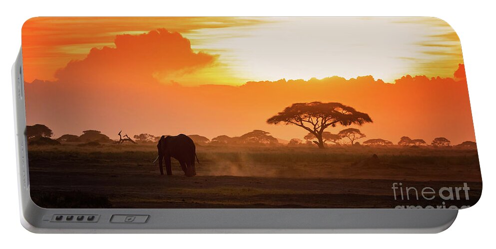 Sunset Portable Battery Charger featuring the photograph Lone elephant walking through Amboseli at sunset by Jane Rix
