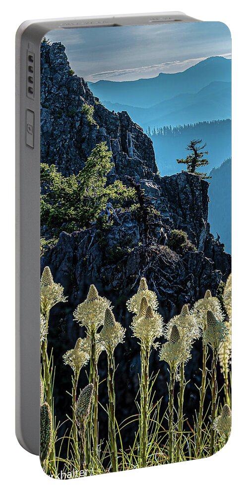 2019-06-30 Portable Battery Charger featuring the photograph Lone Tree and Beargrass by Ulrich Burkhalter