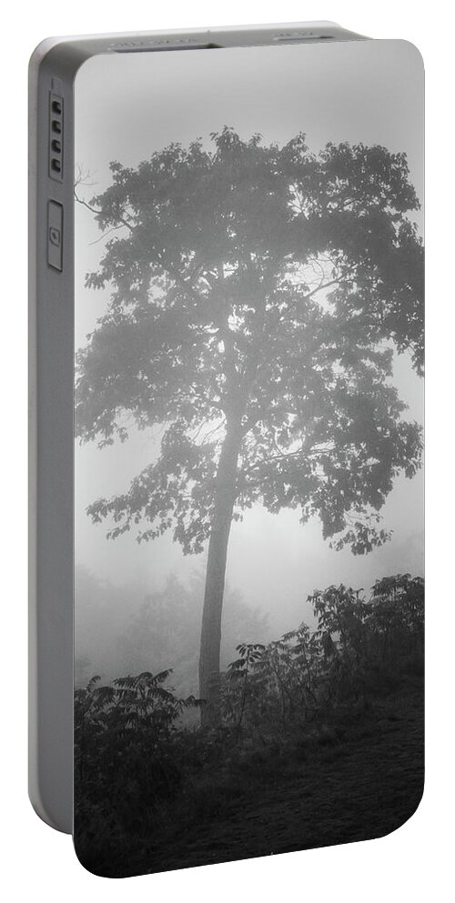 Arbor Portable Battery Charger featuring the photograph Lone Tree and Fog BW by David Gordon