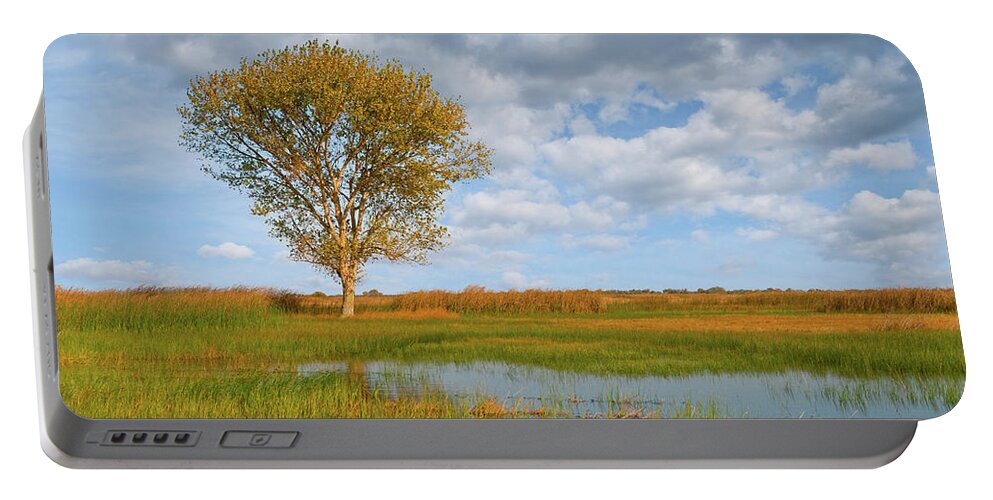 Autumn Portable Battery Charger featuring the photograph Lone Tree by a Wetland by Jeff Goulden