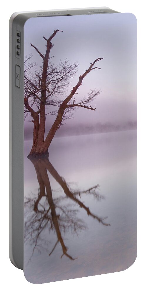 Landscape Portable Battery Charger featuring the photograph Lone tree in still lake in the mist at sunrise by Anita Nicholson