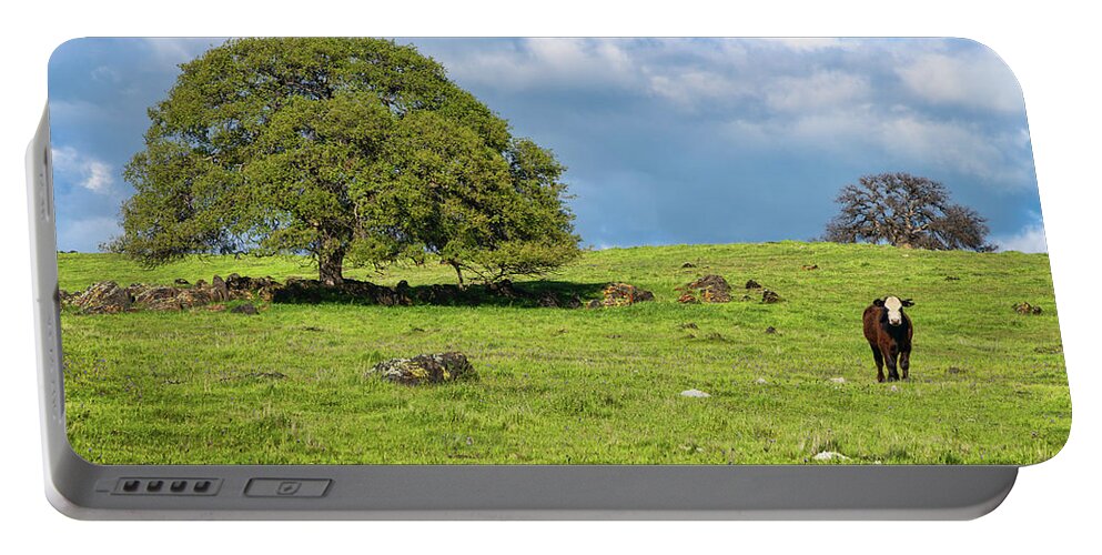 Cattle Portable Battery Charger featuring the photograph Lonely Steer by Dan McGeorge