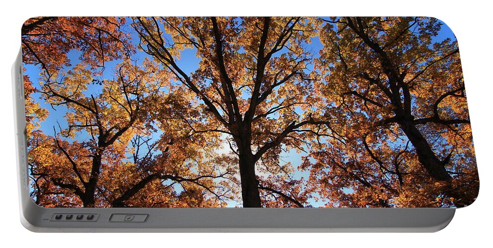 Fall Portable Battery Charger featuring the photograph Looking Up #8 by Rick Rauzi