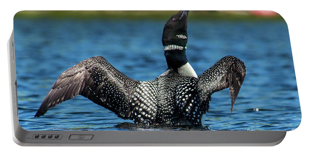 Maine Portable Battery Charger featuring the photograph Loon Open Wings by Alana Ranney