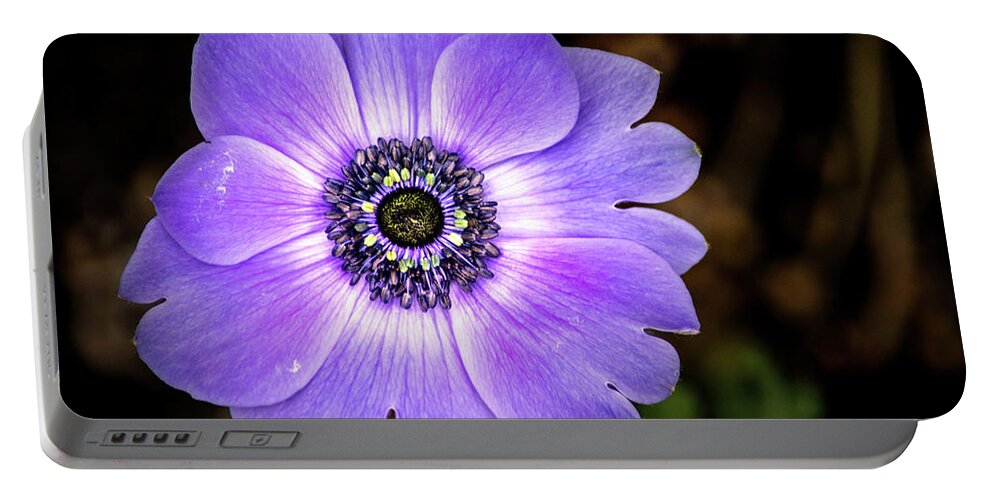 Flower Portable Battery Charger featuring the photograph Lovely Anemone by Don Johnson