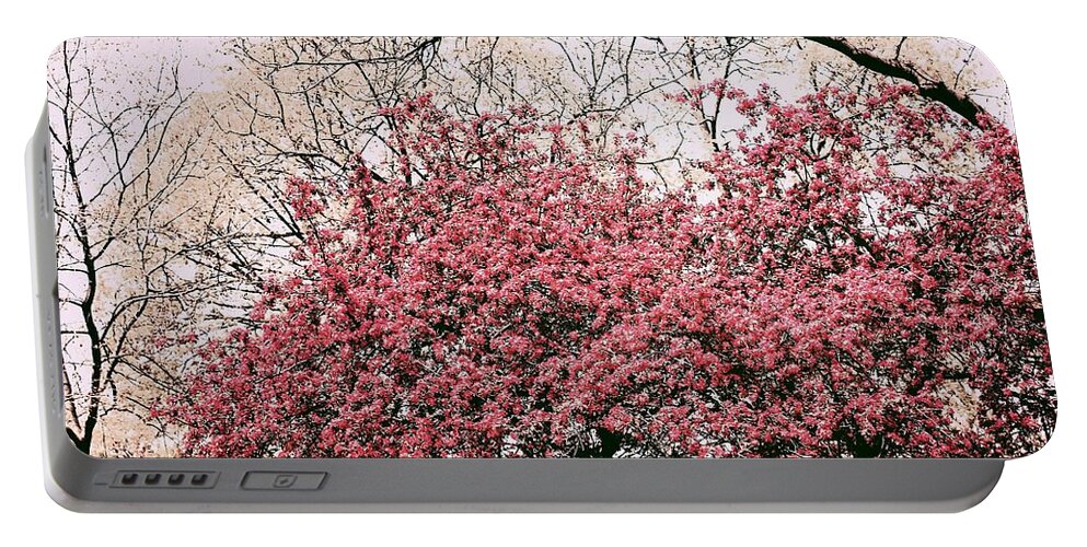 Blossoms Portable Battery Charger featuring the photograph Love's Spring Passion by The Art Of Marilyn Ridoutt-Greene