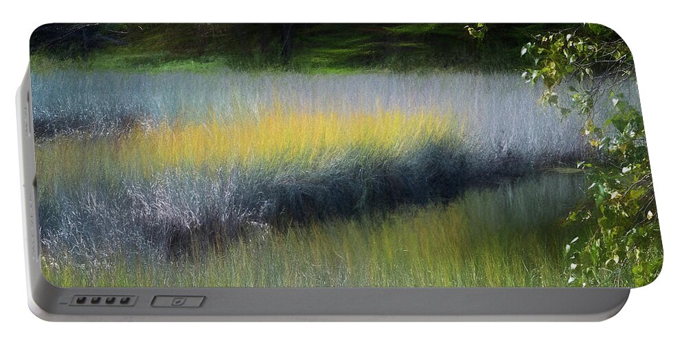 South Freeport Harbor Maine Portable Battery Charger featuring the photograph Maine Marsh by Tom Singleton