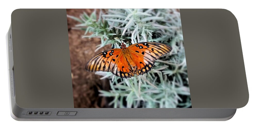 Butterfly Portable Battery Charger featuring the photograph Majestic Butterfly by Ally White