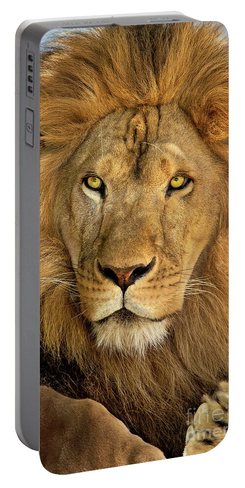 Dave Welling Portable Battery Charger featuring the photograph Male African Lion Portrait Wildlife Rescue by Dave Welling