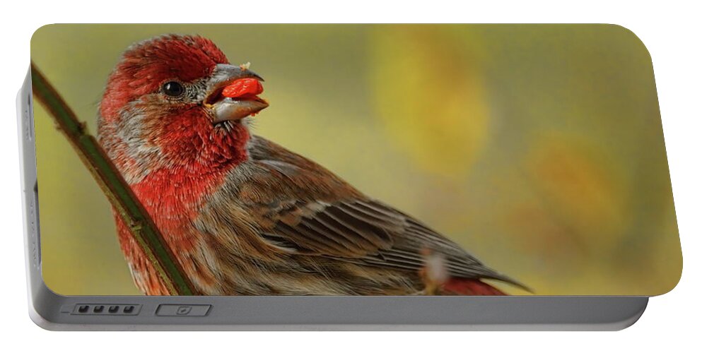 Wildlife Portable Battery Charger featuring the photograph Male House Finch In Burning Bush by Dale Kauzlaric