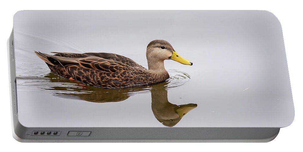 Debra Martz Portable Battery Charger featuring the photograph Male Mottled Duck Reflecting on the Water by Debra Martz