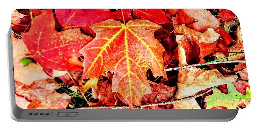 Autumn Portable Battery Charger featuring the photograph Maple Leaf by Paul Kercher