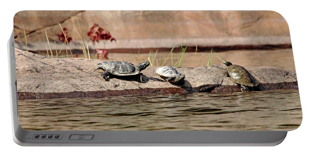 Turtles Portable Battery Charger featuring the photograph Maps On The Rock by Debbie Oppermann