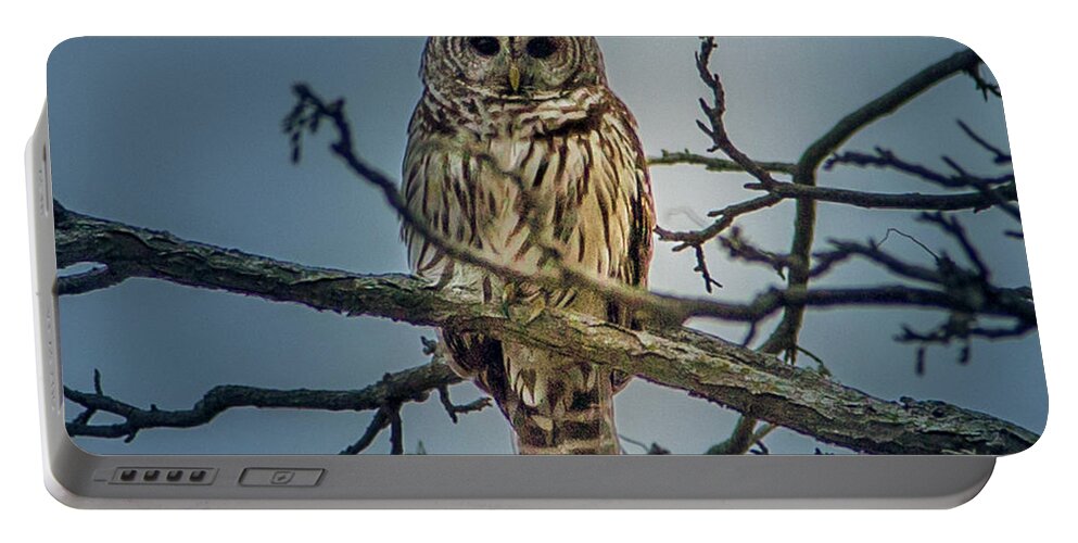 Owl Portable Battery Charger featuring the photograph Merlin by David Wagenblatt