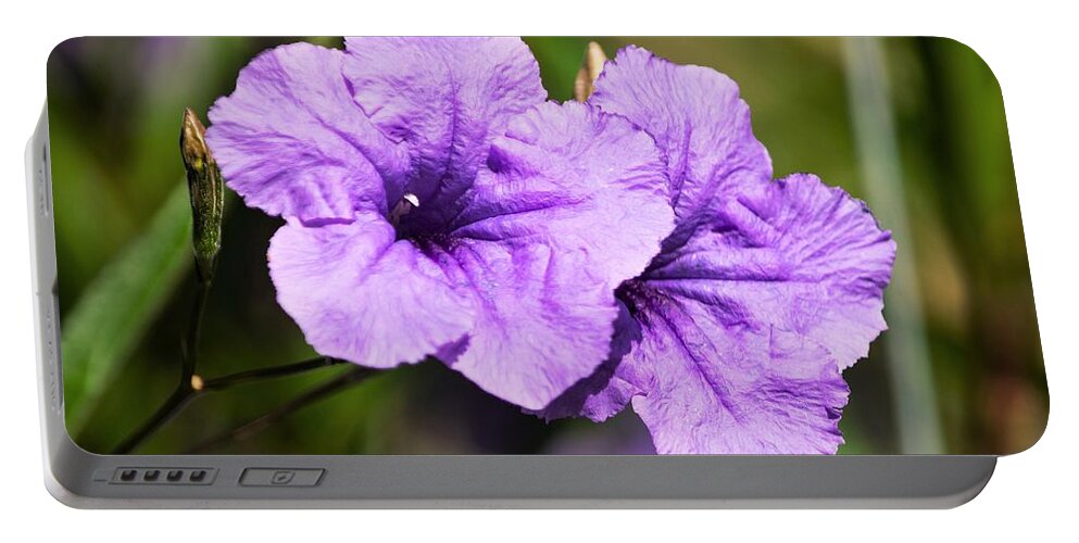 Mexican Petunia Portable Battery Charger featuring the photograph Mexican Petunia by Mary Ann Artz