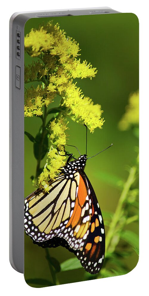 Monarch Butterfly Portable Battery Charger featuring the photograph Migrating Monarch Butterfly by Christina Rollo