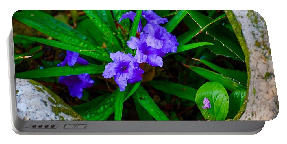 Mini Petunias Portable Battery Charger featuring the photograph Mini Petunias by Diana Mary Sharpton