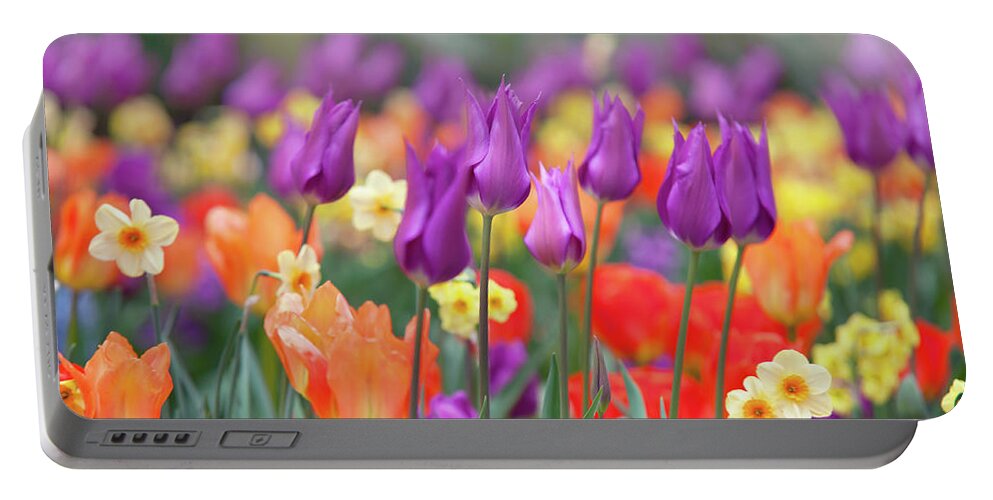 Jenny Rainbow Fine Art Photography Portable Battery Charger featuring the photograph Mix Border with Tulips Purple Dream 1 by Jenny Rainbow