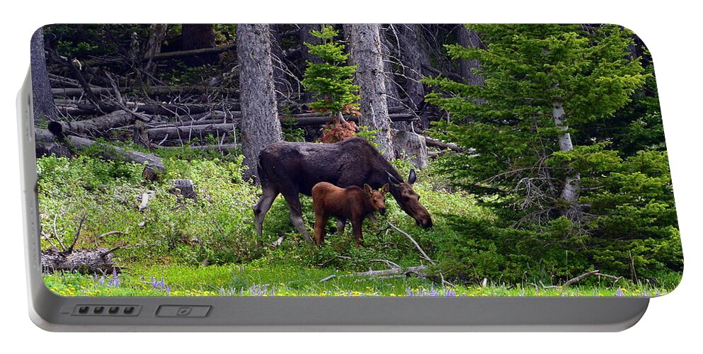 Moose Portable Battery Charger featuring the photograph Mom and Baby by Dorrene BrownButterfield