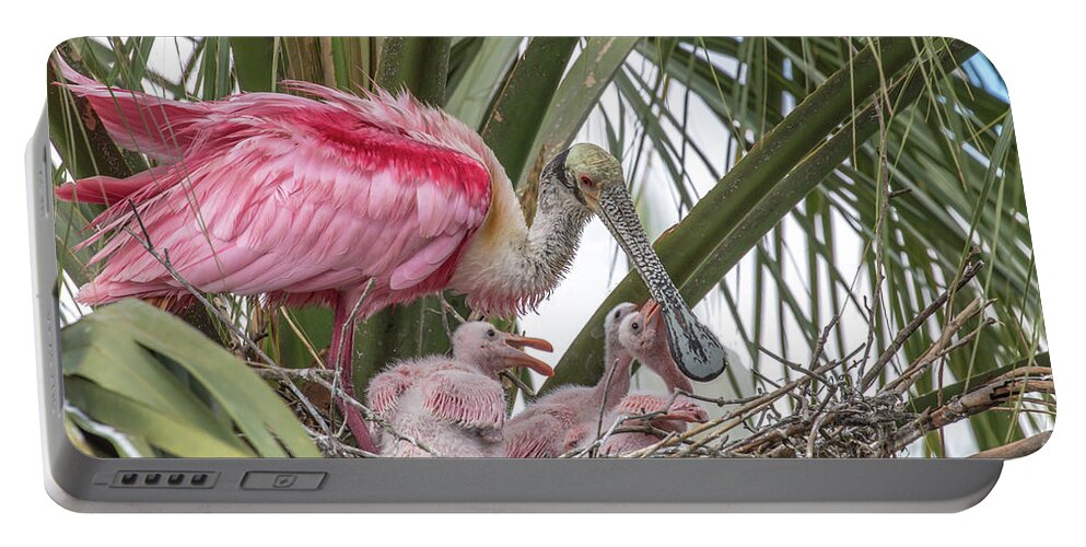 Spoonbill Portable Battery Charger featuring the photograph Mom and Chicks by Dorothy Cunningham