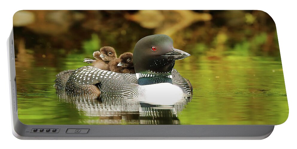 Loons Portable Battery Charger featuring the photograph Mom Plus Two by Duane Cross