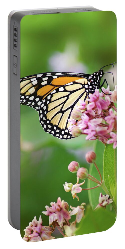 Monarch Butterfly Portable Battery Charger featuring the photograph Monarch Butterfly and Milkweed Flowers by Christina Rollo