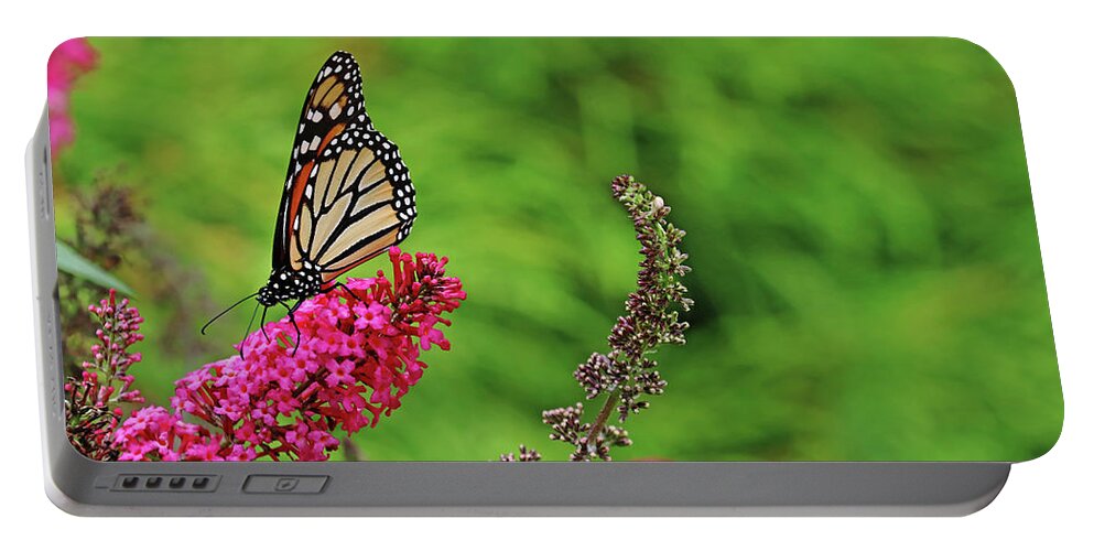 Butterfly Portable Battery Charger featuring the photograph Monarch In The Garden by Debbie Oppermann