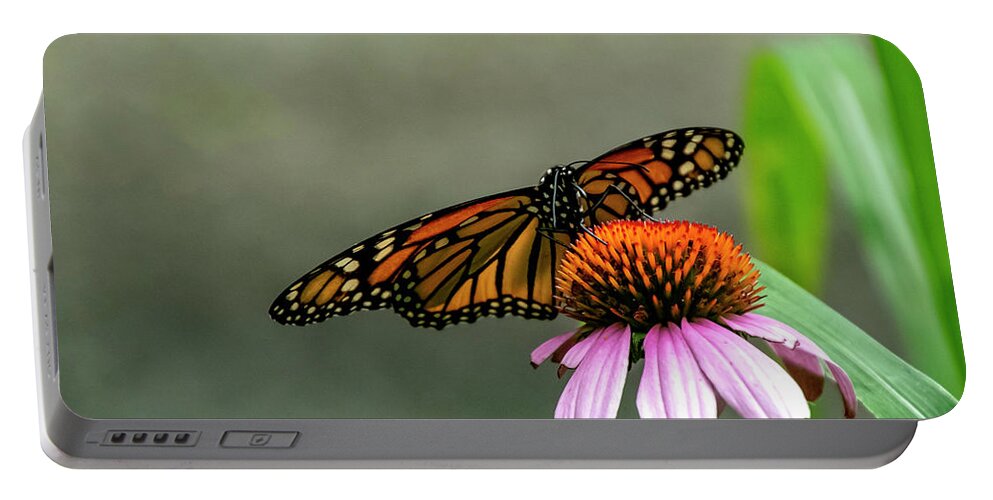 Butterfly Portable Battery Charger featuring the photograph Monarch On Coneflower by Cathy Kovarik