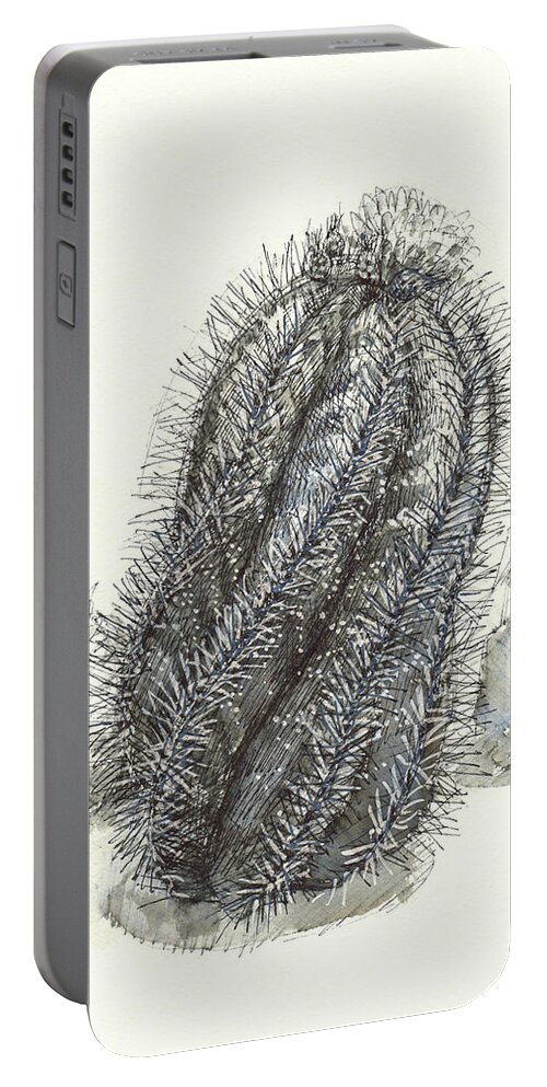 Cactus Portable Battery Charger featuring the painting Monk Hood Cactus by Judith Kunzle