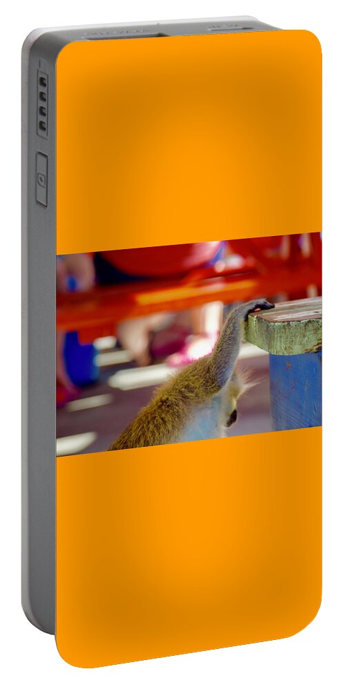 Monkey Portable Battery Charger featuring the photograph Monkey See by Debra Grace Addison