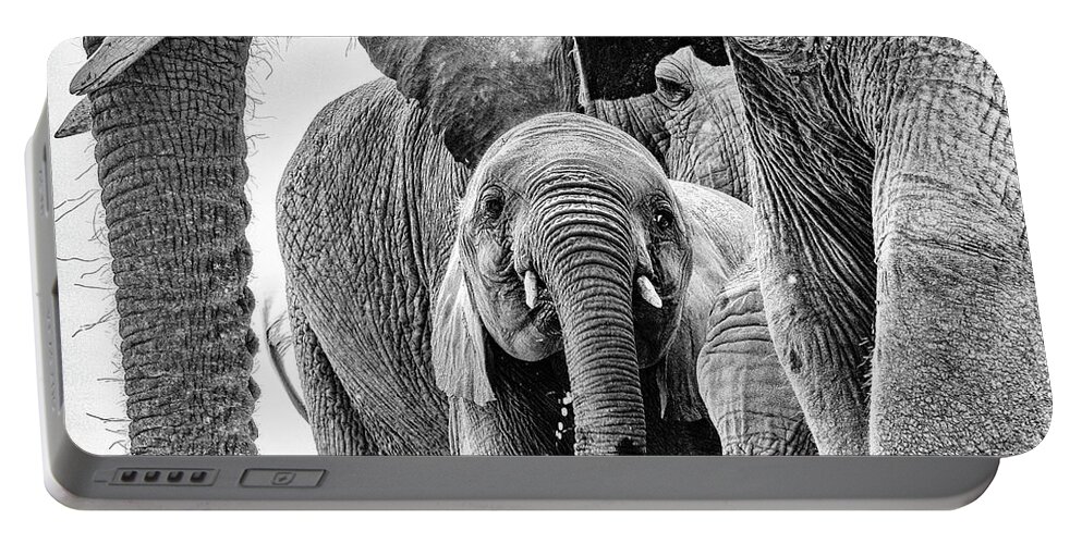 Elephant Portable Battery Charger featuring the photograph Monochrome African Elephant Stare by Mark Hunter
