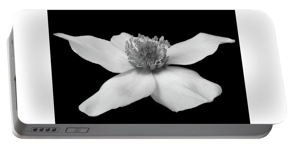 Helleborus Portable Battery Charger featuring the photograph Monochrome Helleborus by Terence Davis
